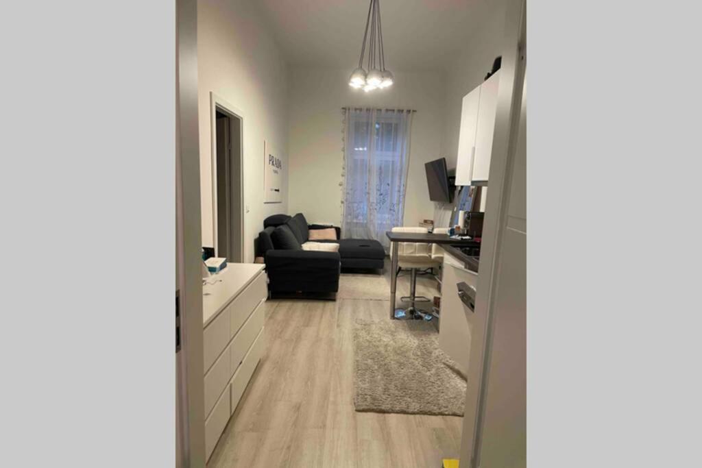 Comf. Apart Near The City - 13 Minutes To 1St Viena Exterior foto